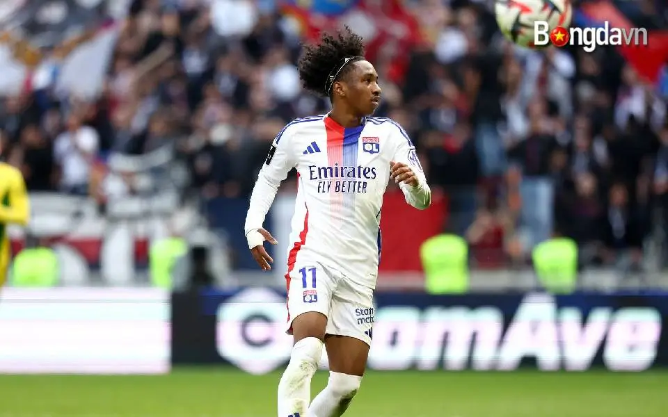lyon1