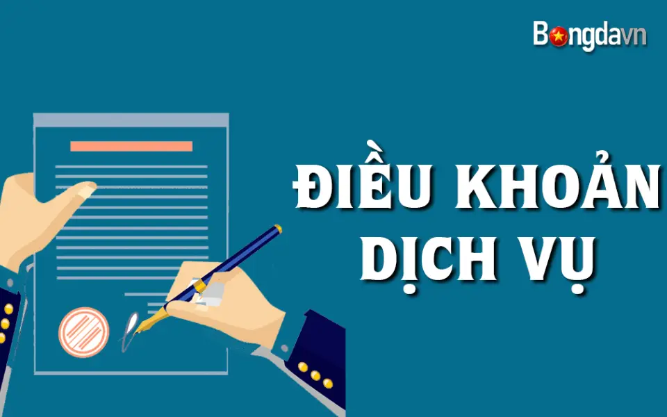 Tổng quan về điều khoản dịch vụ trang báo bongdavn.co