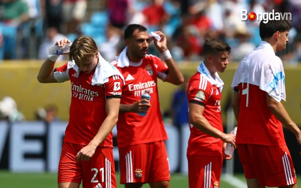 benfica breaktime