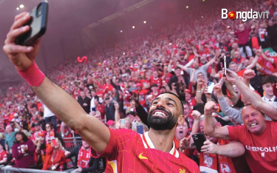 salah liver