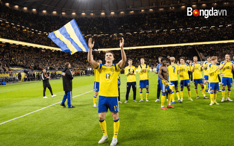 Sweden-qualifies-for-the-World-Cup